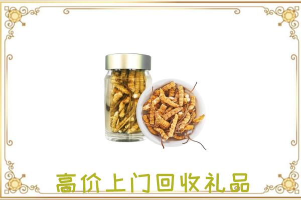 五家渠周边回收虫草